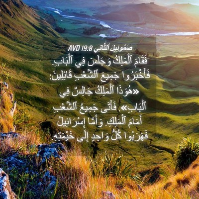 Picture 04 - صَمُوئِيلَ ٱلثَّانِي 19:8 AVD - فَقَامَ ٱلْمَلِكُ - Bible Verse Picture