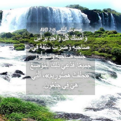 Picture 04 - صَمُوئِيلَ ٱلثَّانِي 2:16 AVD - وَأَمْسَكَ كُلُّ وَاحِدٍ - Bible Verse Picture