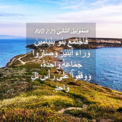 Picture 04 - صَمُوئِيلَ ٱلثَّانِي 2:25 AVD - فَٱجْتَمَعَ بَنُو - Bible Verse Picture