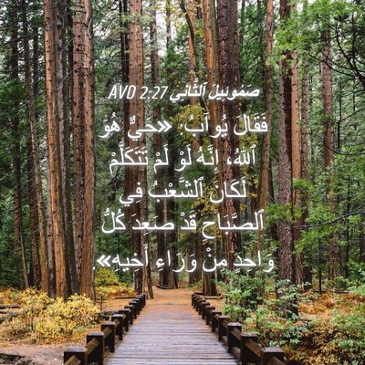 Picture 04 - صَمُوئِيلَ ٱلثَّانِي 2:27 AVD - فَقَالَ يُوآبُ: «حَيٌّ - Bible Verse Picture