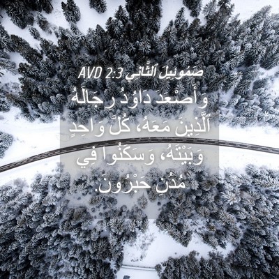 Picture 04 - صَمُوئِيلَ ٱلثَّانِي 2:3 AVD - وَأَصْعَدَ دَاوُدُ - Bible Verse Picture
