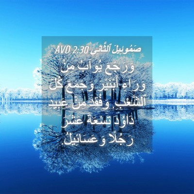 Picture 04 - صَمُوئِيلَ ٱلثَّانِي 2:30 AVD - وَرَجَعَ يُوآبُ مِنْ - Bible Verse Picture