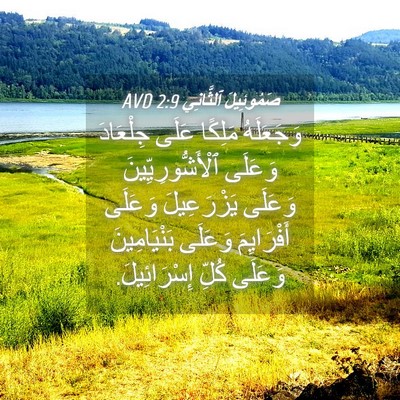 Picture 04 - صَمُوئِيلَ ٱلثَّانِي 2:9 AVD - وَجَعَلَهُ مَلِكًا عَلَى - Bible Verse Picture