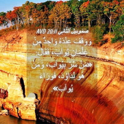 Picture 04 - صَمُوئِيلَ ٱلثَّانِي 20:11 AVD - وَوَقَفَ عِنْدَهُ وَاحِدٌ - Bible Verse Picture