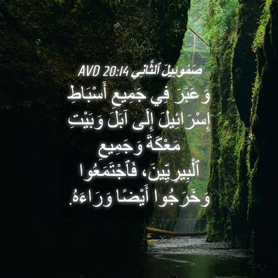 Picture 04 - صَمُوئِيلَ ٱلثَّانِي 20:14 AVD - وَعَبَرَ فِي جَمِيعِ - Bible Verse Picture