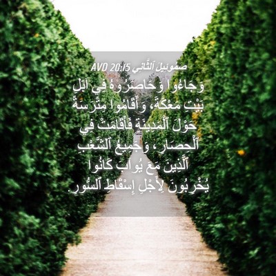 Picture 04 - صَمُوئِيلَ ٱلثَّانِي 20:15 AVD - وَجَاءُوا وَحَاصَرُوهُ - Bible Verse Picture