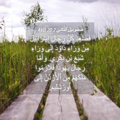 Picture 04 - صَمُوئِيلَ ٱلثَّانِي 20:2 AVD - فَصَعِدَ كُلُّ رِجَالِ - Bible Verse Picture