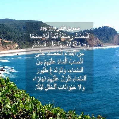 Picture 04 - صَمُوئِيلَ ٱلثَّانِي 21:10 AVD - فَأَخَذَتْ رِصْفَةُ - Bible Verse Picture