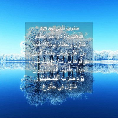 Picture 04 - صَمُوئِيلَ ٱلثَّانِي 21:12 AVD - فَذَهَبَ دَاوُدُ وَأَخَذَ - Bible Verse Picture