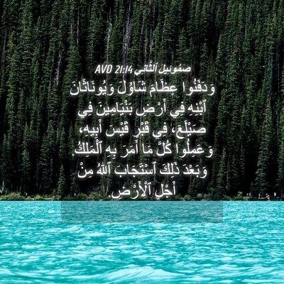 Picture 04 - صَمُوئِيلَ ٱلثَّانِي 21:14 AVD - وَدَفَنُوا عِظَامَ - Bible Verse Picture