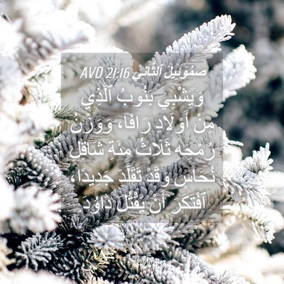 Picture 04 - صَمُوئِيلَ ٱلثَّانِي 21:16 AVD - وَيِشْبِي بَنُوبُ ٱلَّذِي - Bible Verse Picture