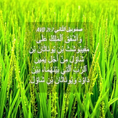 Picture 04 - صَمُوئِيلَ ٱلثَّانِي 21:7 AVD - وَأَشْفَقَ ٱلْمَلِكُ - Bible Verse Picture