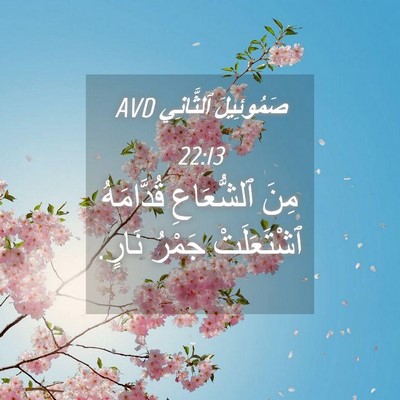 Picture 04 - صَمُوئِيلَ ٱلثَّانِي 22:13 AVD - مِنَ ٱلشُّعَاعِ - Bible Verse Picture