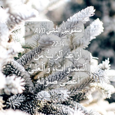 Picture 04 - صَمُوئِيلَ ٱلثَّانِي 22:14 AVD - أَرْعَدَ ٱلرَّبُّ مِنَ - Bible Verse Picture