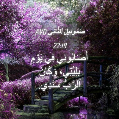Picture 04 - صَمُوئِيلَ ٱلثَّانِي 22:19 AVD - أَصَابُونِي فِي يَوْمِ - Bible Verse Picture