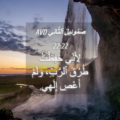 Picture 04 - صَمُوئِيلَ ٱلثَّانِي 22:22 AVD - لِأَنِّي حَفِظْتُ طُرُقَ - Bible Verse Picture