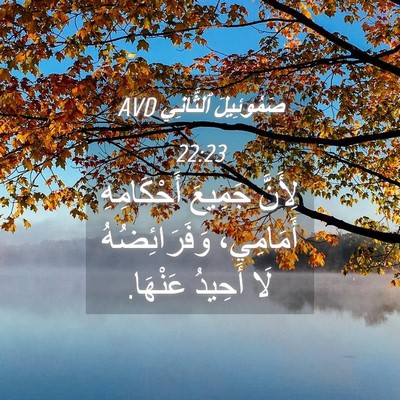 Picture 04 - صَمُوئِيلَ ٱلثَّانِي 22:23 AVD - لِأَنَّ جَمِيعَ - Bible Verse Picture