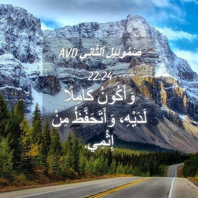 Picture 04 - صَمُوئِيلَ ٱلثَّانِي 22:24 AVD - وَأَكُونُ كَامِلًا - Bible Verse Picture