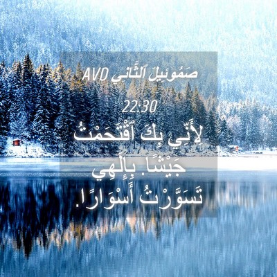 Picture 04 - صَمُوئِيلَ ٱلثَّانِي 22:30 AVD - لِأَنِّي بِكَ ٱقْتَحَمْتُ - Bible Verse Picture