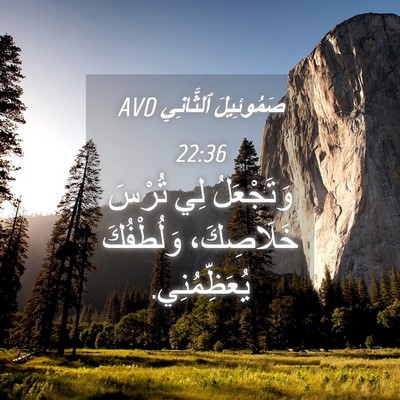 Picture 04 - صَمُوئِيلَ ٱلثَّانِي 22:36 AVD - وَتَجْعَلُ لِي تُرْسَ - Bible Verse Picture