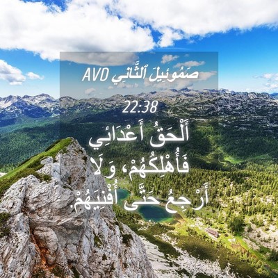Picture 04 - صَمُوئِيلَ ٱلثَّانِي 22:38 AVD - أَلْحَقُ أَعْدَائِي - Bible Verse Picture