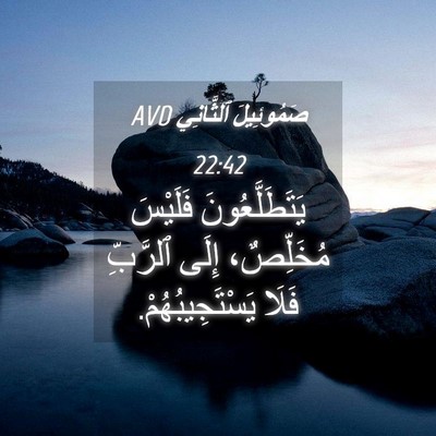 Picture 04 - صَمُوئِيلَ ٱلثَّانِي 22:42 AVD - يَتَطَلَّعُونَ فَلَيْسَ - Bible Verse Picture