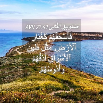 Picture 04 - صَمُوئِيلَ ٱلثَّانِي 22:43 AVD - فَأَسْحَقُهُمْ كَغُبَارِ - Bible Verse Picture