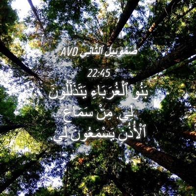 Picture 04 - صَمُوئِيلَ ٱلثَّانِي 22:45 AVD - بَنُو ٱلْغُرَبَاءِ - Bible Verse Picture