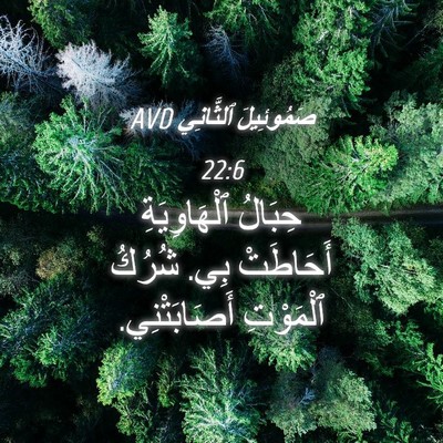 Picture 04 - صَمُوئِيلَ ٱلثَّانِي 22:6 AVD - حِبَالُ ٱلْهَاوِيَةِ - Bible Verse Picture
