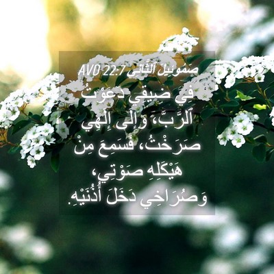 Picture 04 - صَمُوئِيلَ ٱلثَّانِي 22:7 AVD - فِي ضِيقِي دَعَوْتُ - Bible Verse Picture