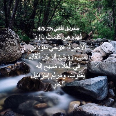 Picture 04 - صَمُوئِيلَ ٱلثَّانِي 23:1 AVD - فَهَذِهِ هِيَ كَلِمَاتُ - Bible Verse Picture