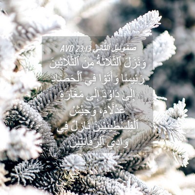 Picture 04 - صَمُوئِيلَ ٱلثَّانِي 23:13 AVD - وَنَزَلَ ٱلثَّلَاثَةُ - Bible Verse Picture