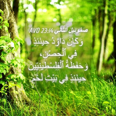Picture 04 - صَمُوئِيلَ ٱلثَّانِي 23:14 AVD - وَكَانَ دَاوُدُ حِينَئِذٍ - Bible Verse Picture