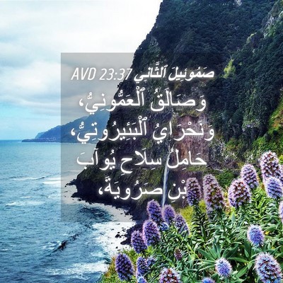 Picture 04 - صَمُوئِيلَ ٱلثَّانِي 23:37 AVD - وَصَالَقُ ٱلْعَمُّونِيُّ، - Bible Verse Picture