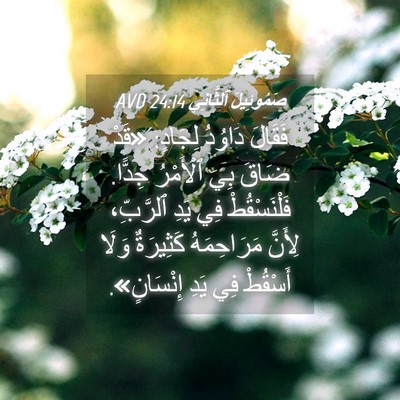 Picture 04 - صَمُوئِيلَ ٱلثَّانِي 24:14 AVD - فَقَالَ دَاوُدُ لِجَادٍ: - Bible Verse Picture