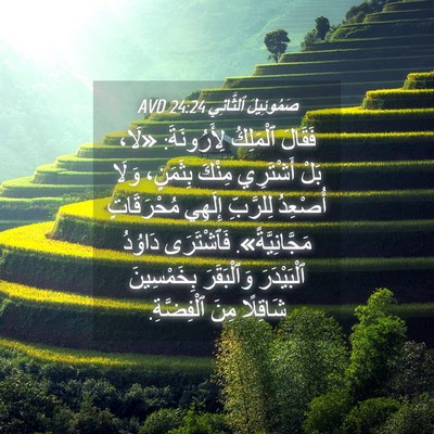 Picture 04 - صَمُوئِيلَ ٱلثَّانِي 24:24 AVD - فَقَالَ ٱلْمَلِكُ - Bible Verse Picture