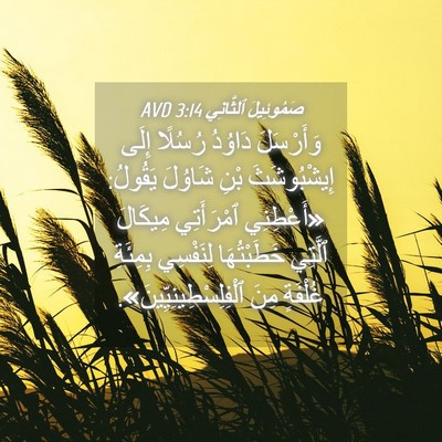 Picture 04 - صَمُوئِيلَ ٱلثَّانِي 3:14 AVD - وَأَرْسَلَ دَاوُدُ - Bible Verse Picture