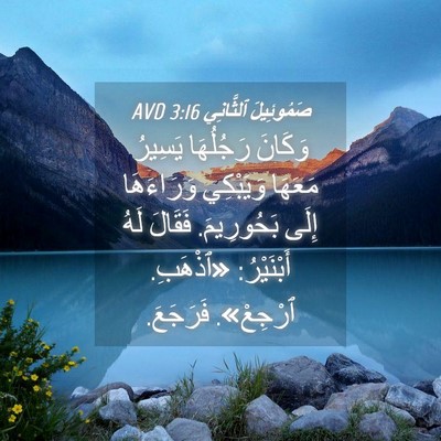 Picture 04 - صَمُوئِيلَ ٱلثَّانِي 3:16 AVD - وَكَانَ رَجُلُهَا يَسِيرُ - Bible Verse Picture