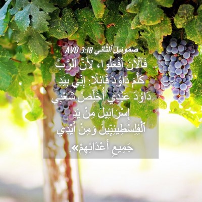 Picture 04 - صَمُوئِيلَ ٱلثَّانِي 3:18 AVD - فَٱلْآنَ ٱفْعَلُوا، - Bible Verse Picture