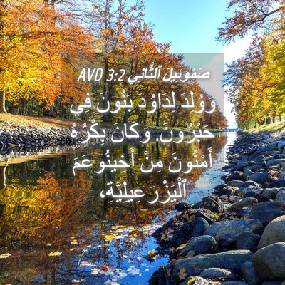 Picture 04 - صَمُوئِيلَ ٱلثَّانِي 3:2 AVD - وَوُلِدَ لِدَاوُدَ - Bible Verse Picture