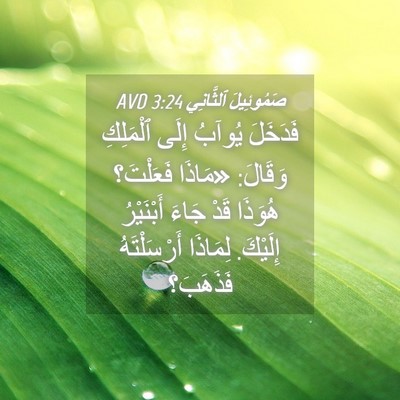 Picture 04 - صَمُوئِيلَ ٱلثَّانِي 3:24 AVD - فَدَخَلَ يُوآبُ إِلَى - Bible Verse Picture