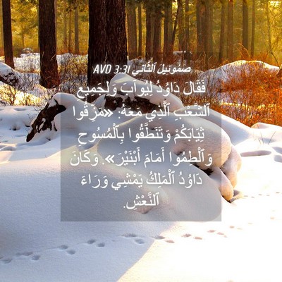 Picture 04 - صَمُوئِيلَ ٱلثَّانِي 3:31 AVD - فَقَالَ دَاوُدُ لِيُوآبَ - Bible Verse Picture