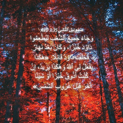 Picture 04 - صَمُوئِيلَ ٱلثَّانِي 3:35 AVD - وَجَاءَ جَمِيعُ ٱلشَّعْبِ - Bible Verse Picture