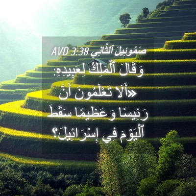 Picture 04 - صَمُوئِيلَ ٱلثَّانِي 3:38 AVD - وَقَالَ ٱلْمَلِكُ - Bible Verse Picture
