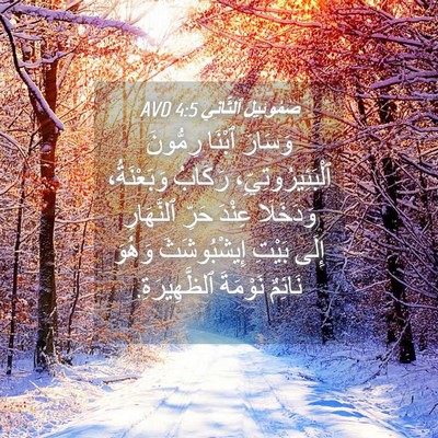 Picture 04 - صَمُوئِيلَ ٱلثَّانِي 4:5 AVD - وَسَارَ ٱبْنَا رِمُّونَ - Bible Verse Picture