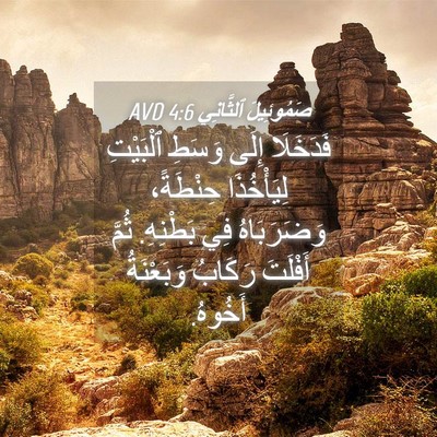 Picture 04 - صَمُوئِيلَ ٱلثَّانِي 4:6 AVD - فَدَخَلَا إِلَى وَسَطِ - Bible Verse Picture