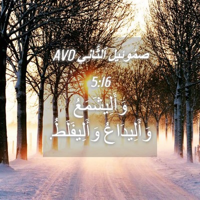 Picture 04 - صَمُوئِيلَ ٱلثَّانِي 5:16 AVD - وَأَلِيشَمَعُ - Bible Verse Picture