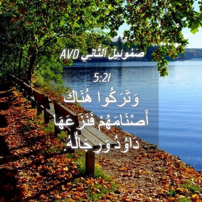 Picture 04 - صَمُوئِيلَ ٱلثَّانِي 5:21 AVD - وَتَرَكُوا هُنَاكَ - Bible Verse Picture