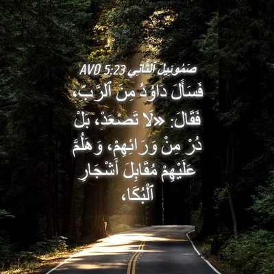 Picture 04 - صَمُوئِيلَ ٱلثَّانِي 5:23 AVD - فَسَأَلَ دَاوُدُ مِنَ - Bible Verse Picture
