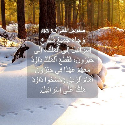 Picture 04 - صَمُوئِيلَ ٱلثَّانِي 5:3 AVD - وَجَاءَ جَمِيعُ شُيُوخِ - Bible Verse Picture